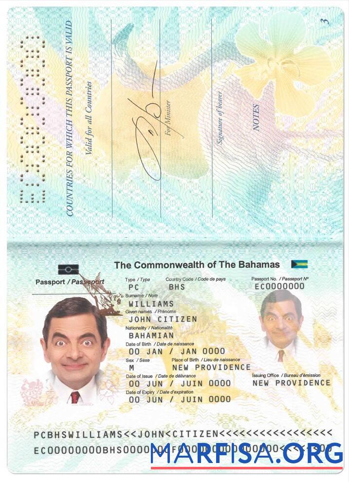 Printable Bahamas passport real example